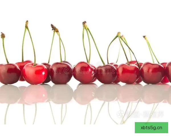 樱桃视频：解锁视界，品味生活，点亮你的每一个精彩瞬间